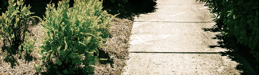 轰炸手机号软件